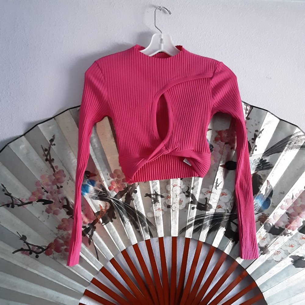 Barbie pink Zara crop top